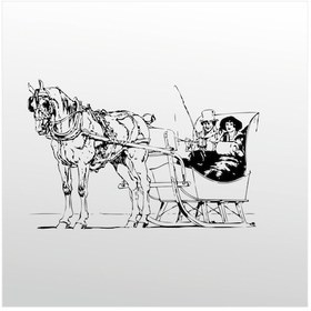 Resim Folyo Sticker At Arabası 200cm Uzunluk Siyah 