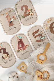 Resim MSticker Bebek Anı Kartları, 22 Adet En Özel Anlar için Anı Kartı / Fotoğraf Figür, Özel Tasarım Saklama Kutu 