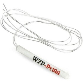 Resim Pt100 Platinyum Sensör 100cm 