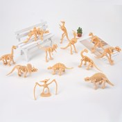 Resim 12 adet Dinozor İskeleti PVC Model Seti - Bej, Gerçekçi Dinozor Figürleri, Dinozorlar Hakkında Öğrenmek İçin Eğitici Oyuncaklar, Dinozor Oyuncakları | Canlı Tasarım | Dayanıklı Oyuncak 