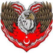 Resim Türk Bayrağı Kartal Sticker 02121 