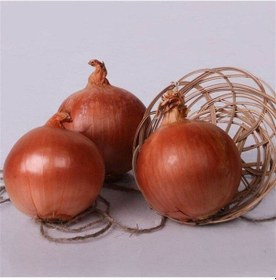 Resim 100 Adet Natural Soğan Tohumu 