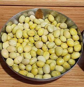 Resim E-fidancim Sarı Ulak Zeytin Fidanı 