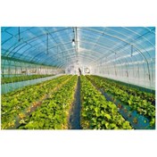 Resim Emek 12 M X 23 M 350 Mikron Eva Uv Katkılı 36 Aylık Sera Naylonu Kalın Sera Örtüsü Branda 