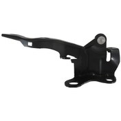 Resim Hyundai I30 07/12 Kaput Menteşesi Sol Tw 