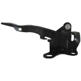 Resim Hyundai I30 07/12 Kaput Menteşesi Sol Tw 