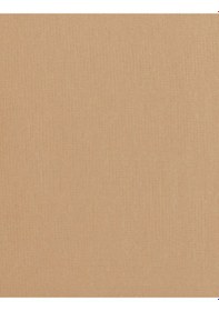Resim Marks & Spencer 3'lü 10 Denye Mat Külotlu Çorap Seti T60007410 Bej 