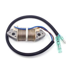 Resim Tomking TK098-S-TK098-L Deniz Motoru Elektronik Bobin 