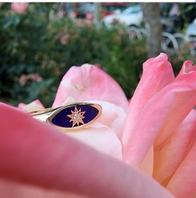 Resim Ala Safir Mineli Kutup Yıldızlı Oval Mühür Minimal Tasarım Esteti 552950069 