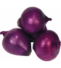 Resim Erdo Ticaret Yüksek Kaliteli Mor Soğan Tohumu - 3 Gram 