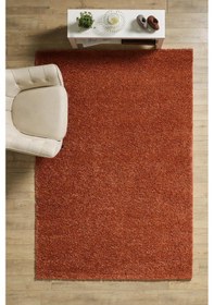 Resim Tek Renk Kremit Rengi Yumuşak Post Peluş Shaggy Halı Salon Oturma Odası Yolluk Mutfak Halısı 