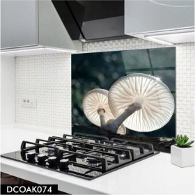 Resim Ne Verelim Size Cam Ocak Arkası Koruyucu | Mantar Desenli 