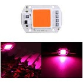 Resim 220v 50w Grow Cob Led Full Spectrum 