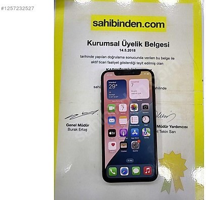 Altın
