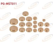 Resim Puga-pg-mst011 - Motor Su Blok Tapası Takım Sarı Pırınc Kıa Cer 