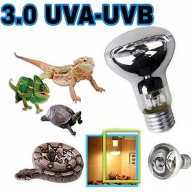 Resim Uva-Uvb 3.0 Sürüngen Isıtıcı Lamba 50 Watt 