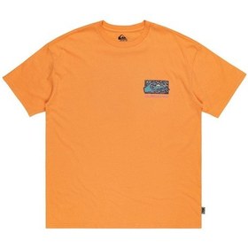 Resim Quiksilver Quıksılver Spın Cycle Ss Erkek T-shirt Eqyzt07653-qk.25178 