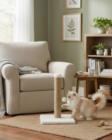 Resim Reyo Pet Kedi Tırmalama Tahtası Beyaz 42 cm 