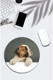 Resim pixolog Buldog Temalı Mouse Pad 26 