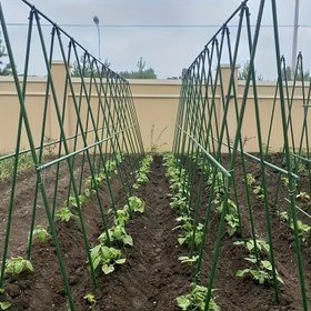 Resim 1 takım 18 dayanıklı metal tırmanma bitkisi bahçe çubukları - domates, üzüm, salatalık ve tutku meyvesi için uygun asma destek direkleri - sera ve açık hava bahçeciliği için vazgeçilmez 