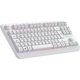 Resim Gamebooster G75 Elya Rainbow Aydınlatmalı Beyaz Tkl Membrane Gaming Klavye 