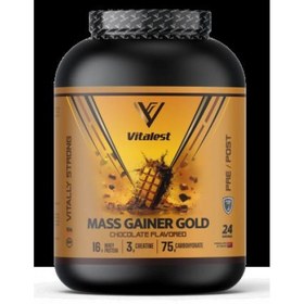 Resim Vitalest Mass Gainer 2400G. Karbonhidrat Tozu 24 Servis ÇİKOLATA 