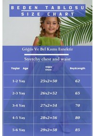 Resim Asortix Kız Çocuk Tarlatanlı Abiye Elbise Doğum Günü Elbisesi Pudra 