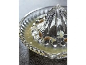 Resim Bilfold Cam Limon Sıkacağı 