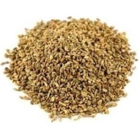 Resim Aktar Store Hıltan Tohumu 500 Gr 