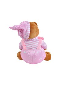 Resim Sevimli Çerçeveli Ayıcık Sevgiliye Hediyelik Uyku Arkadaşı 25 Cm PEMBE 