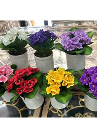 Resim Saksılı 5 Dallı Menekşe Küçük 18cm 25 Çiçekli-12 Yapraklı 1dmt 