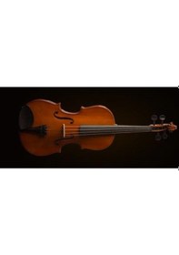 Resim Valencia Va16038 Viyola 15 İnç Öğrenci Seti 38 Cm - Orta Boy - Yay Ve Kutu Dahil 