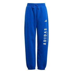 Resim adidas Unisex Çocuk Mavi Eşofman Altı J ALLSZN GFX PT JC7613 