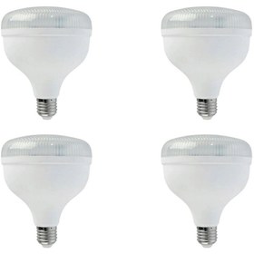 Resim ZMR 30w T-bulb Torch Ampul 4 Adet 