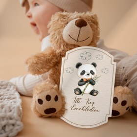 Resim MSticker Bebek Anı Kartları, 22 Adet En Özel Anlar için Anı Kartı / Fotoğraf Figür, Özel Tasarım Saklama Kutu 