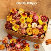 Resim 60/80/100 Adet Kurutulmuş Papatyalar, Düğünler, Ev Dekoru, Canlı Renkli, Masa Süslemeleri, Çiçek Dekorasyonu, Şenlikli Masa Aksesuarları 