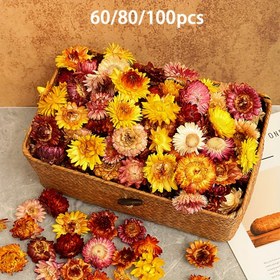 Resim 60/80/100 Adet Kurutulmuş Papatyalar, Düğünler, Ev Dekoru, Canlı Renkli, Masa Süslemeleri, Çiçek Dekorasyonu, Şenlikli Masa Aksesuarları 