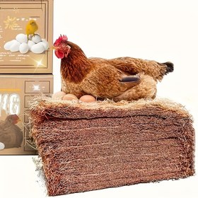 Resim 7/3 Yeniden Kullanılabilir Hindistan Cevizi Yaprağı Matları, Nem Geçirmez ve Sıcak Tutan Kuşlar ile Sürüngenler için Yuva Pedleri, Kolay Bakım 