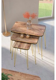 Resim Uslucan Alışveriş Zigon Sehpa Kr Ve Orta Sehpa Kr Set Çift Gold Ceviz Tel 1110 Çok Renkli 