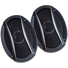 Resim Leone HR-6935TW 1250 Watt 6 x 9 Oval Hoparlör 