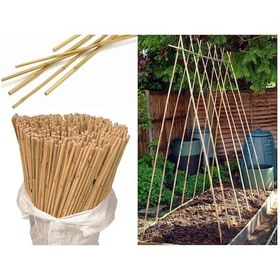 Resim 30 Adet Bambu Bitki Fidan Destek Çubuğu 1 Metre 