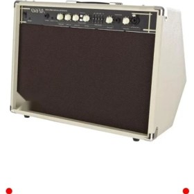 Resim MarkEntegra 60W Akustik Gitar ve Vokal Amfisi 