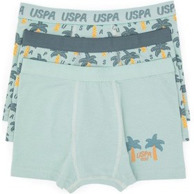 Resim U.S. Polo Assn. Erkek Çocuk 3'lü Boxer Takım 50319388-VR048 