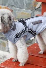 Resim Su Geçirmez Reflektörlü Köpek Kışlık Montu - Mavi / XL 