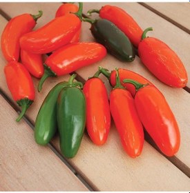 Resim Nadir Doğal Çok Acı Gialla Jalapeno Biber Tohumu 10 Tohum 