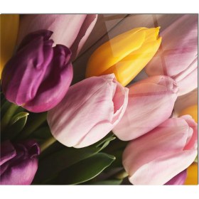 Resim Olinpa Cam Ocak Arkası Koruyucu | Lale Model 