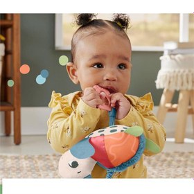 Resim Fisher Price Zıp Zıp Kaplumbağa HKD62 