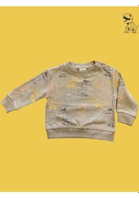 Resim Cantoy Erkek Bebek Dinazor Desenli Sweatshirt-15354 Kahverengi 