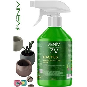 Resim 3v Cactus Kaktüs & Sukulent Besini 500 Ml + 3 Adet 0.13l Delikli Saksı Seti 4 
