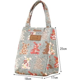 Resim Öğle Yemeği Çantaları Yalıtımlı Çanta Cc Diğer 